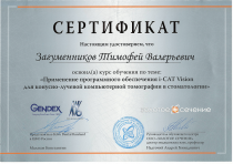 Сертификат Загуменникова Т.В.